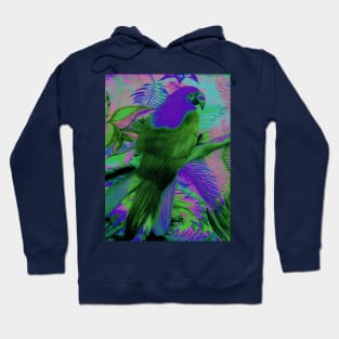 EXOTIC BRIGHT PARROT TROPICAL PALM DECO POSTER ART PRINT Hoodie